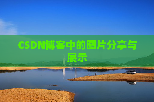 CSDN博客中的图片分享与展示